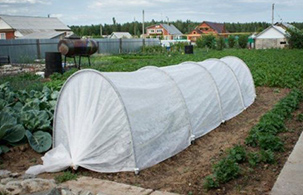 Фото детали